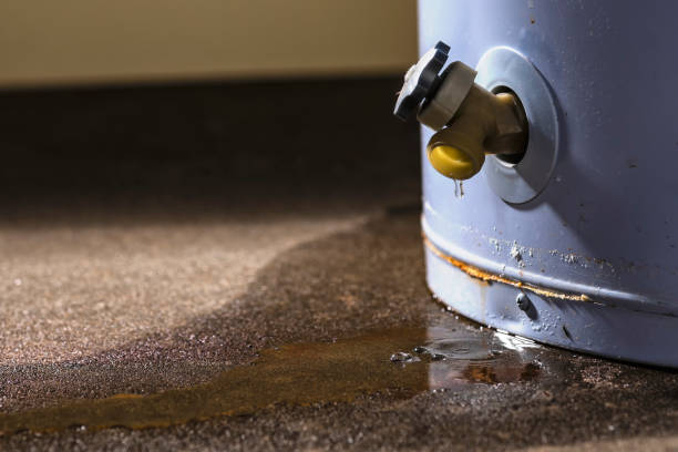 Best Water damage repair service  in Newton, TX