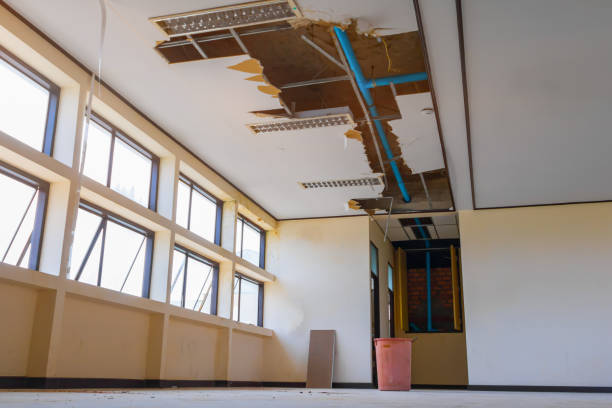 Best Flood damage cleanup  in Newton, TX