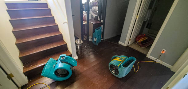 Best Residential water damage restoration  in Newton, TX
