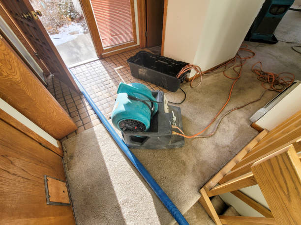 Best Fire Damage Restoration  in Newton, TX