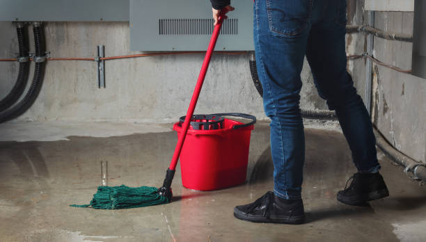 Best Flooded house restoration  in Newton, TX