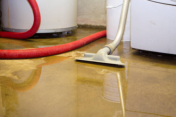 Best Water damage cleanup near me  in Newton, TX