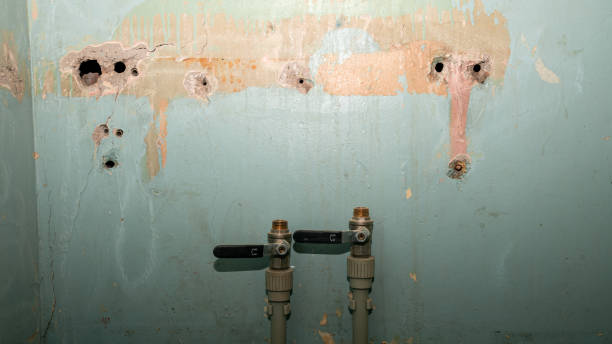 Best Commercial water damage restoration  in Newton, TX