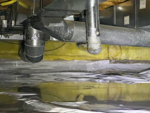Carpet water damage restoration in Newton, TX