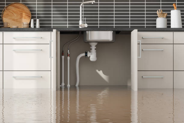 Professional Water damage restoration in Newton, TX