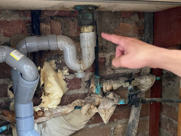 Best Ceiling water damage repair  in Newton, TX