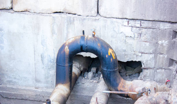 Best Water damage restoration cost  in Newton, TX