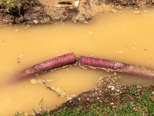 Best Commercial water damage restoration  in Newton, TX